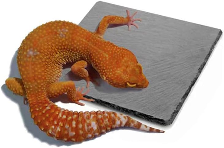 HALONTIN Reptile Basking Platform Rock Tortoise Habitat Accessories Slate Rocks for Reptiles Food Dish Feeding Bowl for Crested Gecko Snake Frog Lizard - Image 1